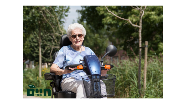 קולנועית להשכרה בצפון